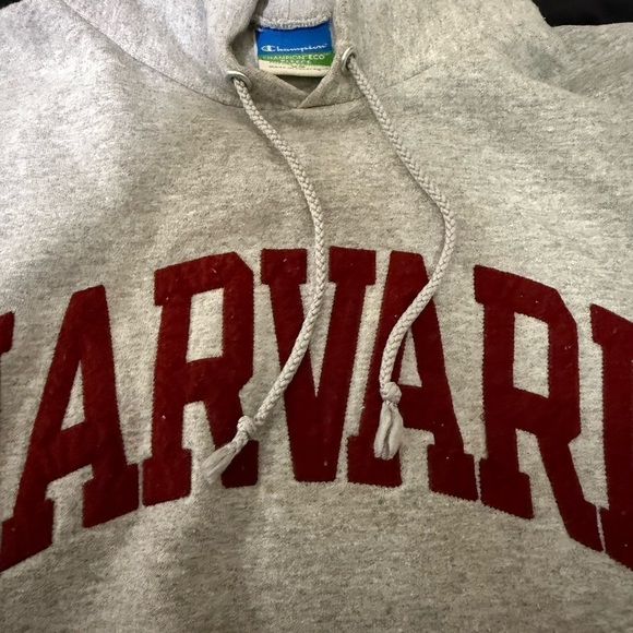Harvard Hoodie - Picture 4 of 7